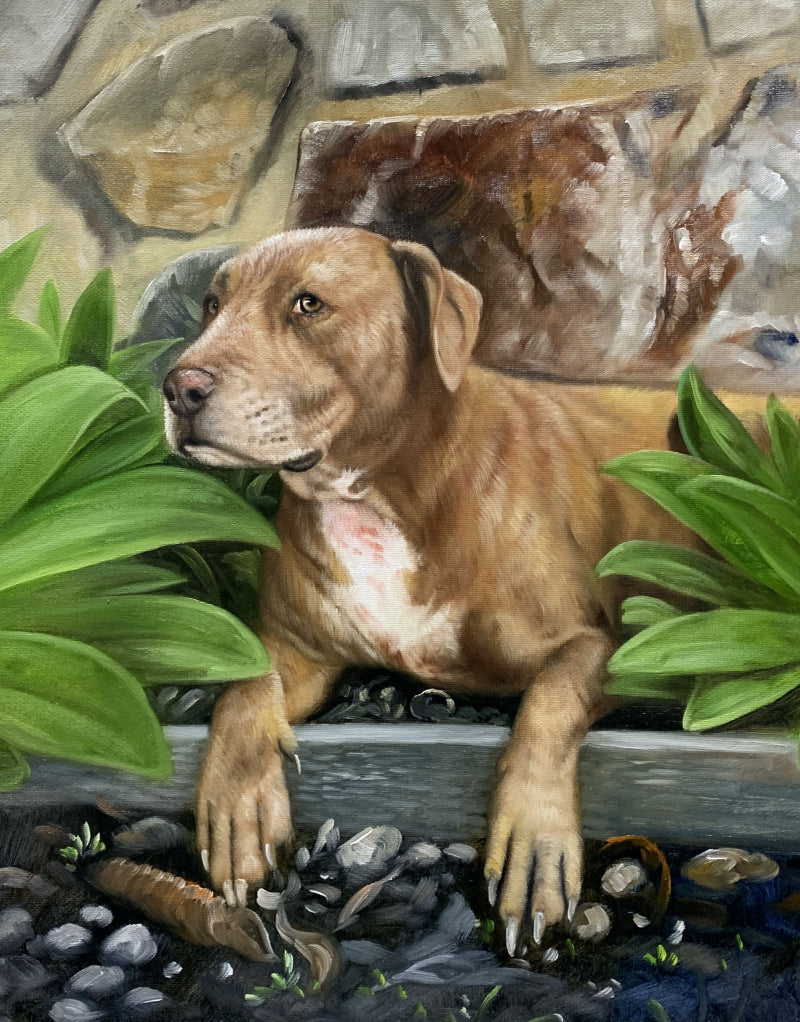 宠物画像 - painted artwork, oil/acrylic direction - 1