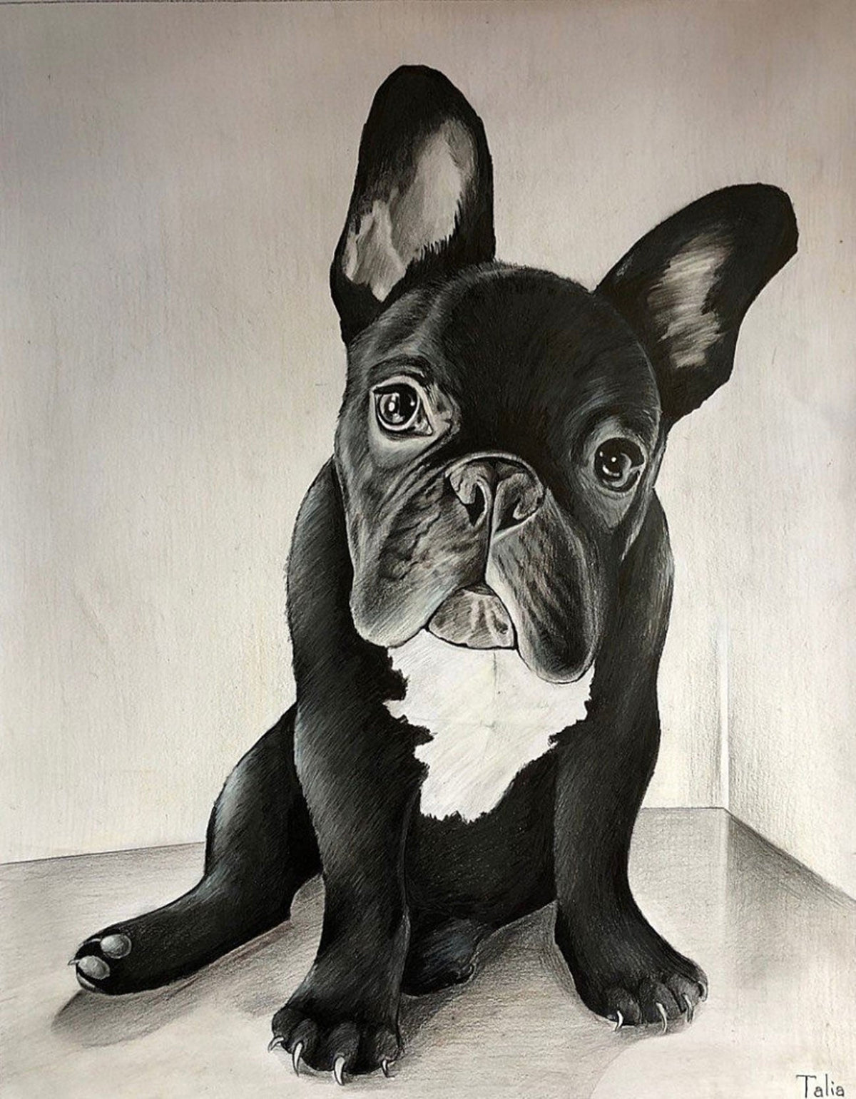 宠物画像 - graphite pencil drawing - 3